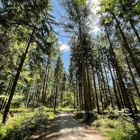 Spirkenhuette - Bis 6 Personen - Mit Sauna - Am Fichtelsee Fichtelberg